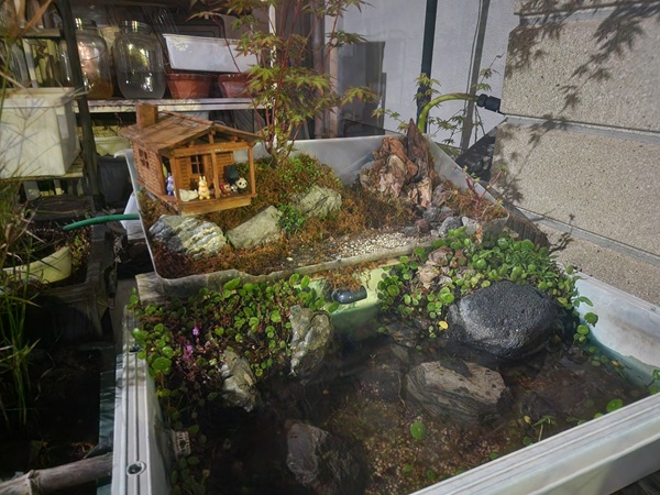 S22 Ultraで夜の屋外を撮影した比較写真