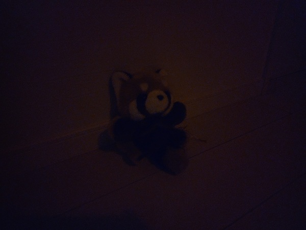 S22 Ultraで豆球のみの室内をナイトモードオフで撮影