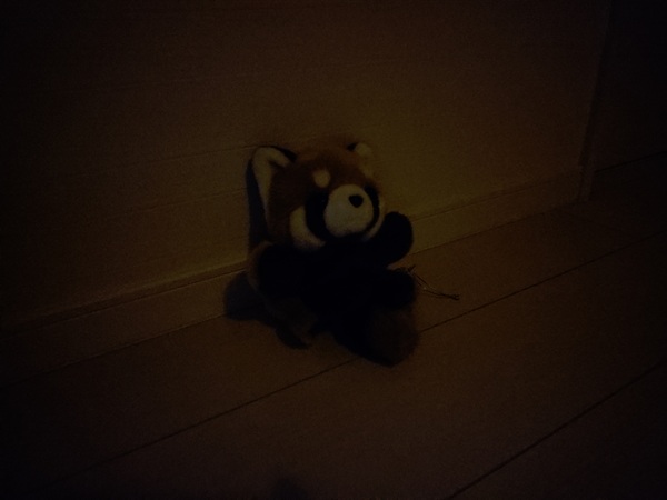 S26 Ultraで豆球のみの室内をナイトモードオフで撮影