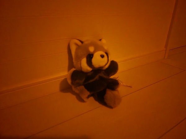 S22 Ultraで豆球のみの室内をナイトモードオンで撮影