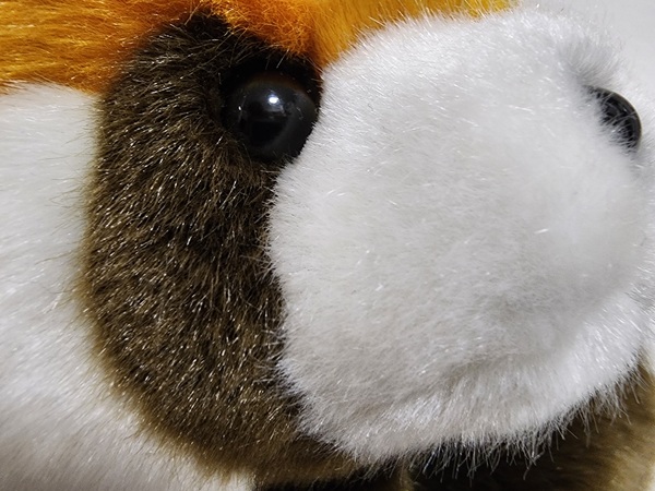 S22 Ultraで明るい室内で接写撮影した比較写真