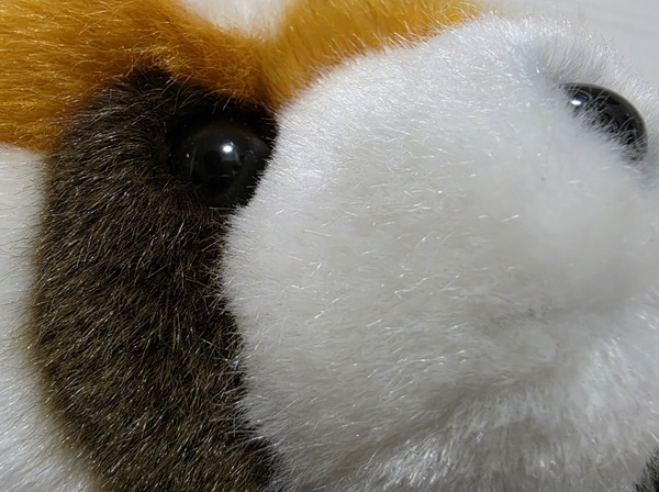 S26 Ultraで明るい室内で接写撮影した比較写真